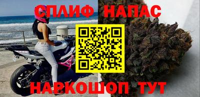 мдпв Камышлов