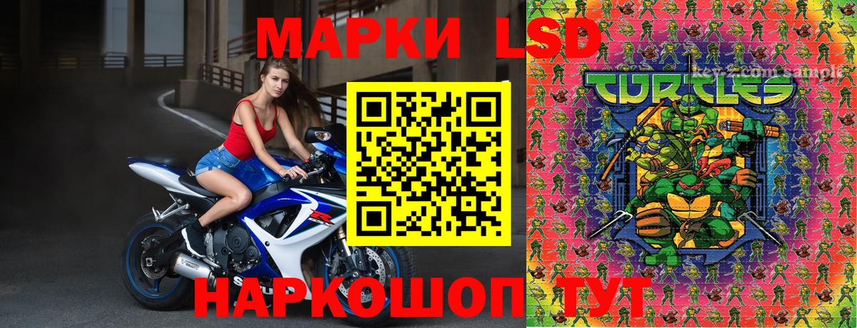 Марки N-bome 1,5мг  Наркотические марки  Новозыбков  Вход с VPN 
