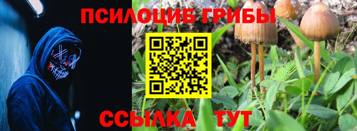 Псилоцибиновые грибы Magic Shrooms Новозыбков