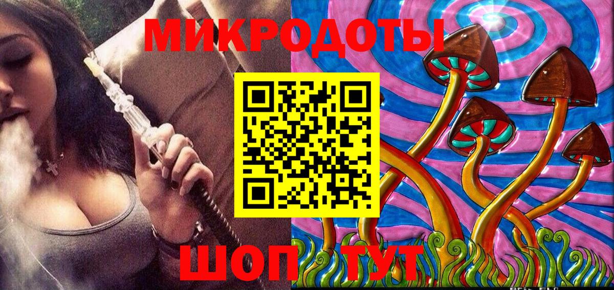 Новозыбков  Галлюциногенные грибы Cubensis  цены   Вход с VPN  Галлюциногенные грибы мицелий 